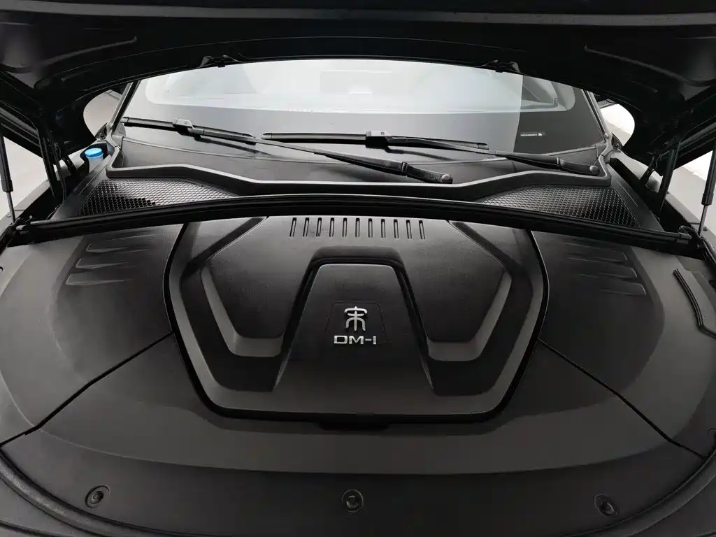 BYD PLUS New Energy — миниатюра 6