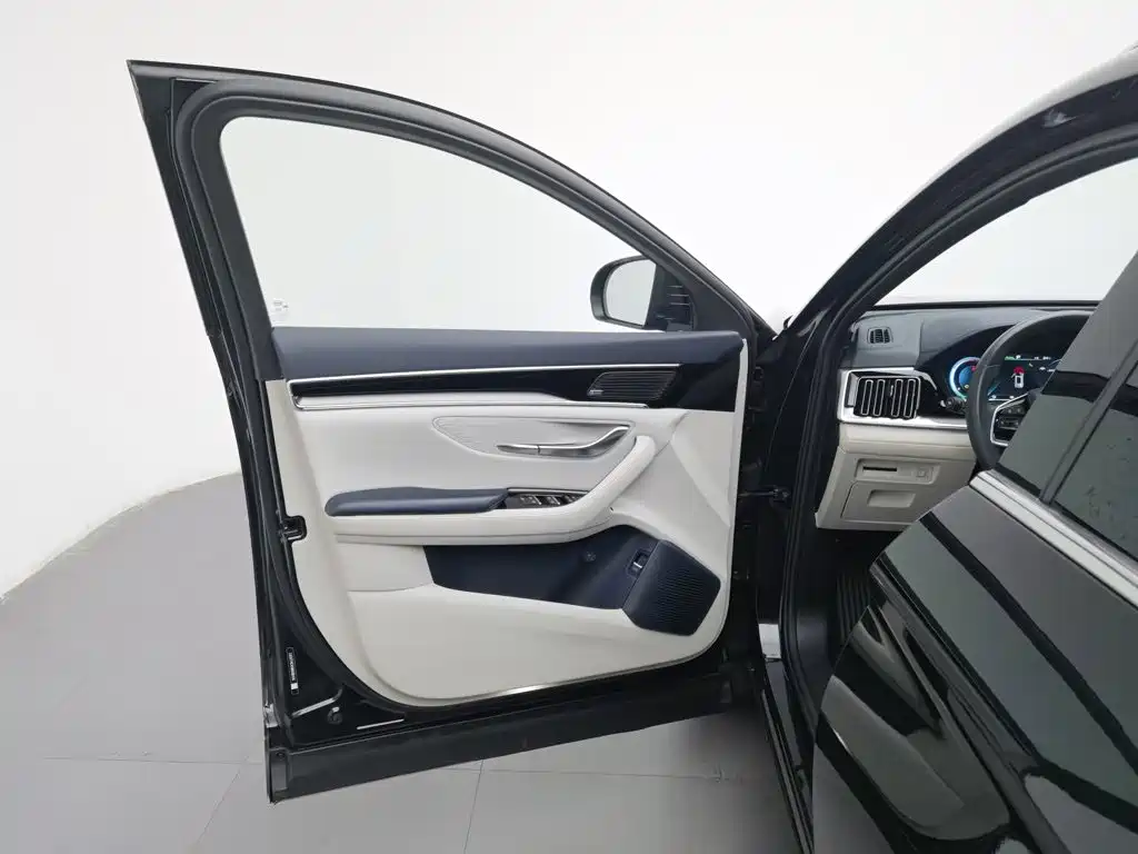 BYD PLUS New Energy — миниатюра 8