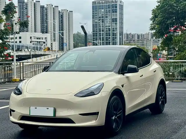 TESLA MODEL Y 2024