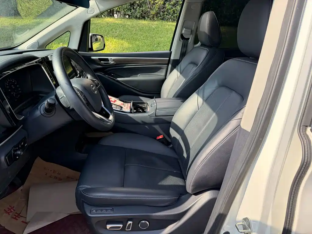 GAC Motor Trumpchi M8 — миниатюра 8