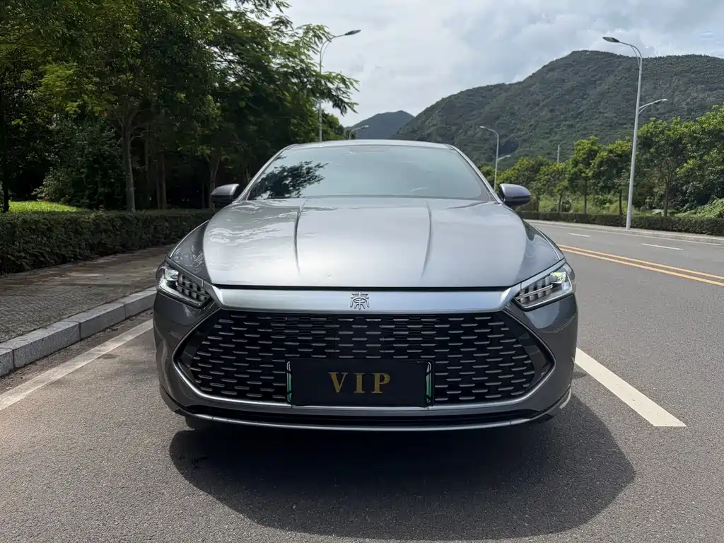 BYD Qin Plus PLUS 2024 DM-i 55KM Lead