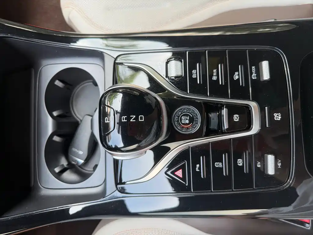 BYD Qin Plus PLUS 2024 DM-i 55KM Lead