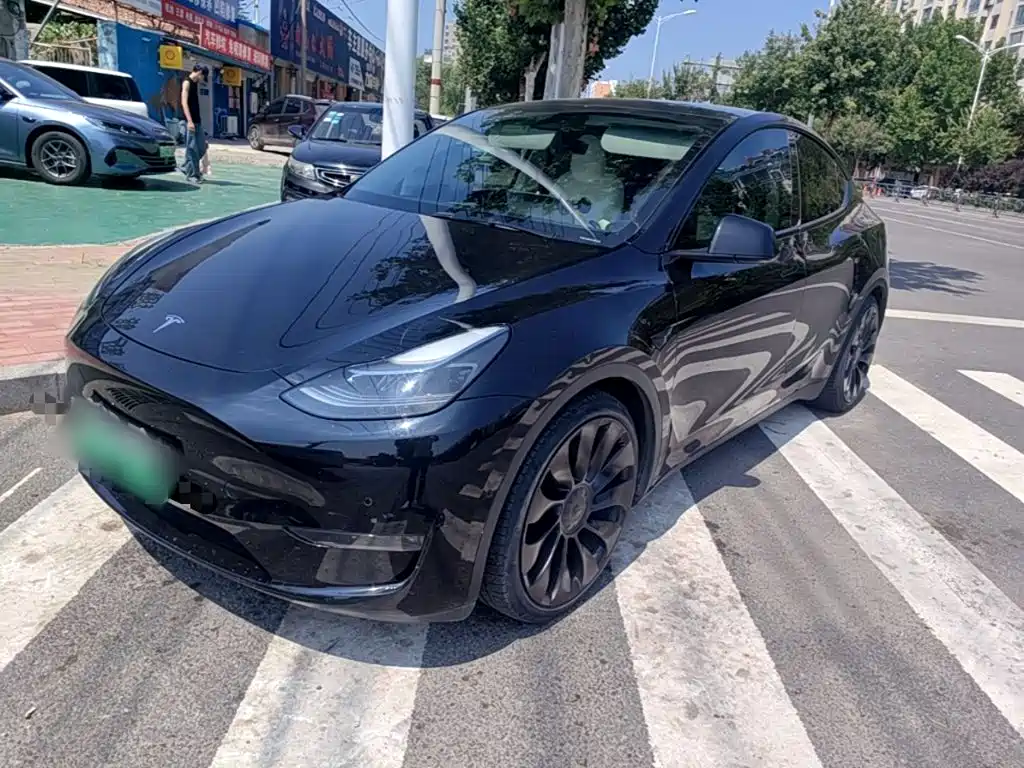 Tesla Model Y 2021 Performance