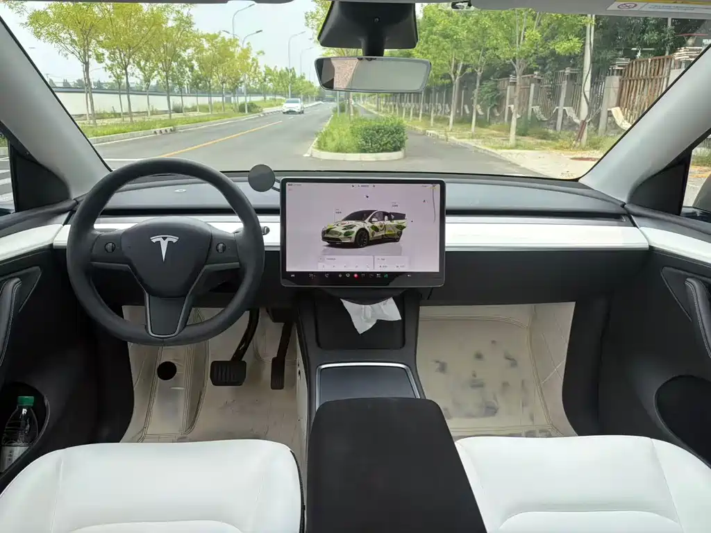 Tesla Model Y — миниатюра 12