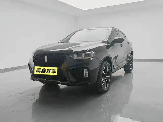2019 Wey VV5