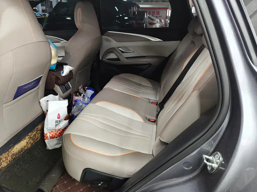 BYD SONGJIANG NEW ENERGY