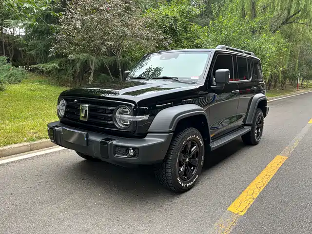 2025 TANK 300