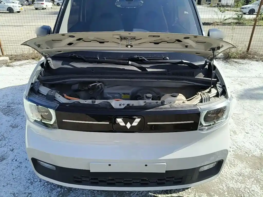 Wuling MINIEV — миниатюра 20
