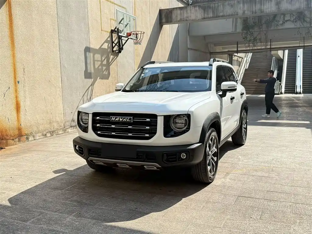 HAVAL BIG DOG