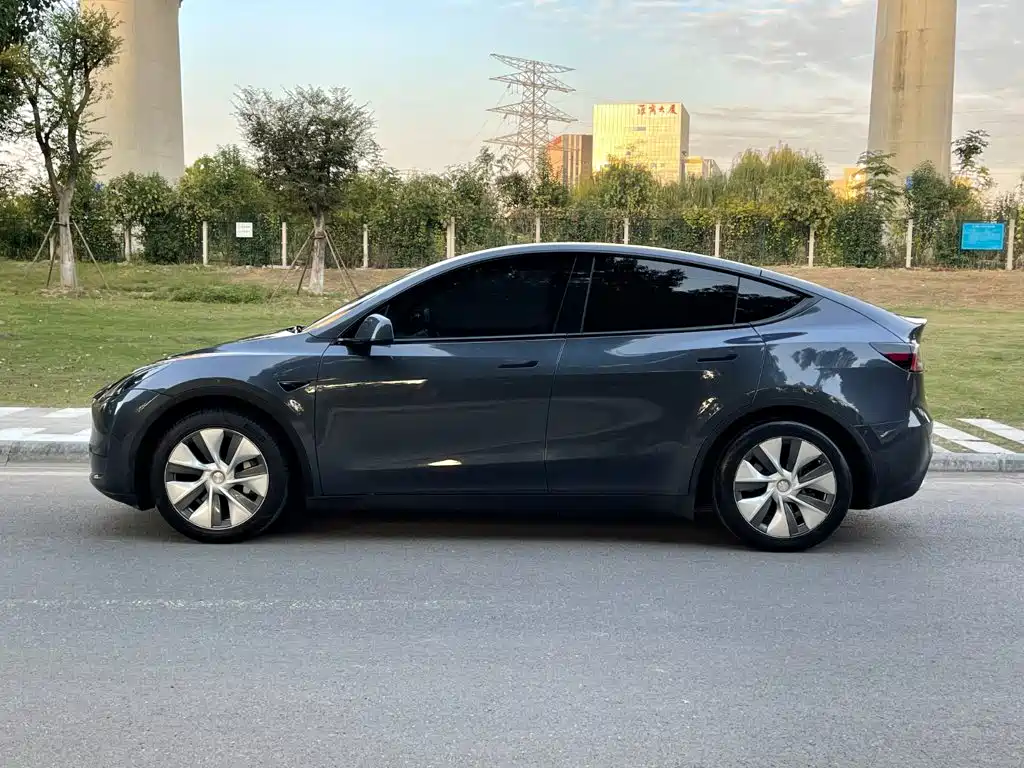 Tesla Model Y — миниатюра 5