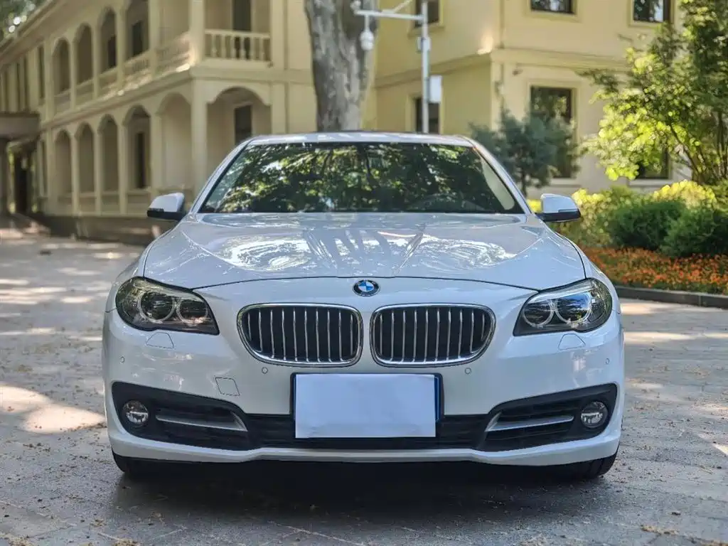 BMW 5 Series 5 2014 530Li Lead
