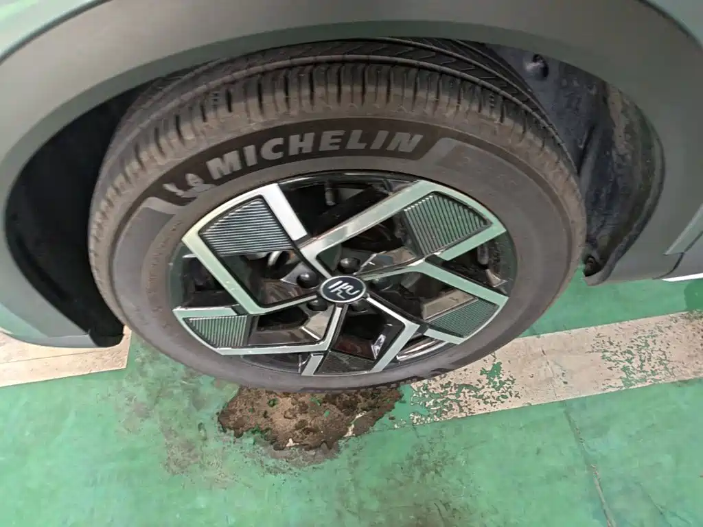BYD Yuan Plus — миниатюра 23