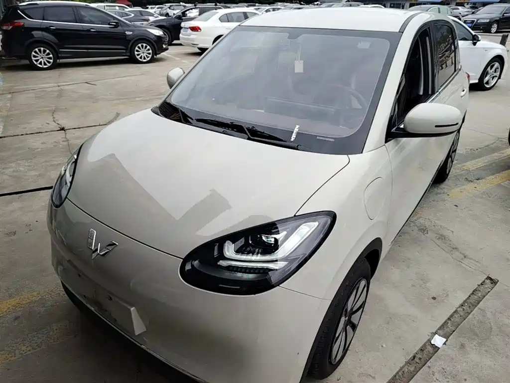 Wuling Bingo 2024