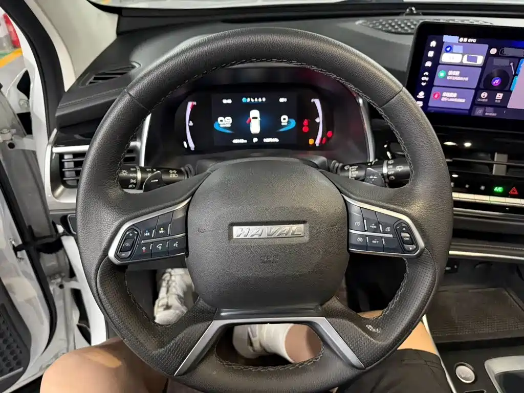 Haval H6 — миниатюра 8