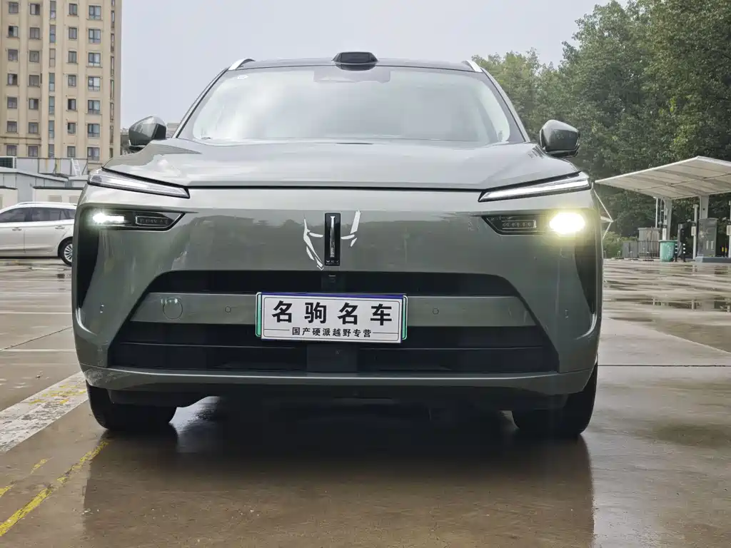 WEI PAI WEI BRAND BLUE MOUNTAIN