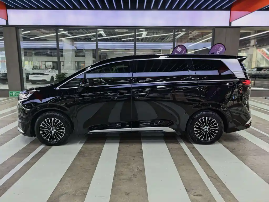 Denza Denza D9 — миниатюра 12