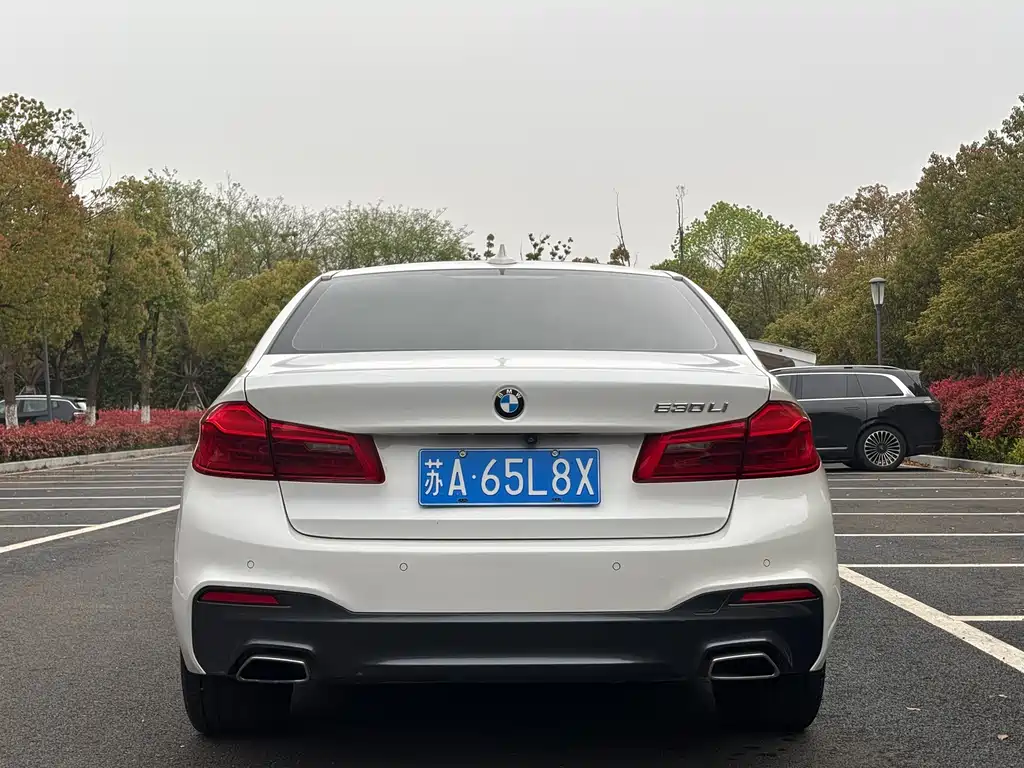 BMW 5 Series 5 2018 530Li Premium M Sport