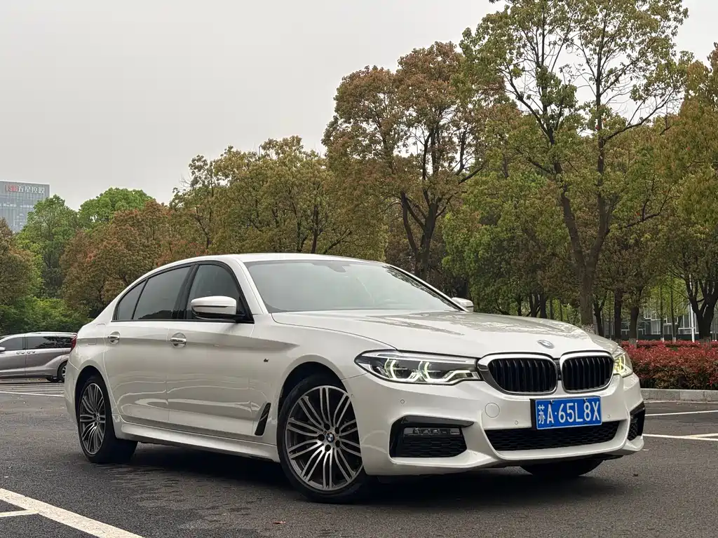 BMW 5 Series 5 2018 530Li Premium M Sport