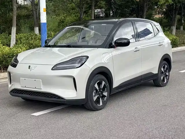 2026 Wuling Motors Binguo