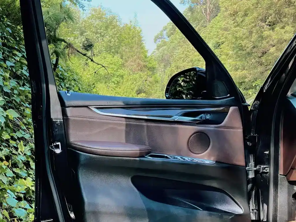 BMW  X5