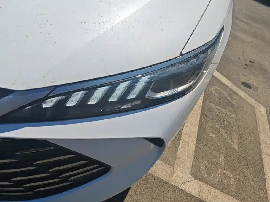BYD Qin Plus PLUS 2025 DM-i Smart Drive 55KM Lead
