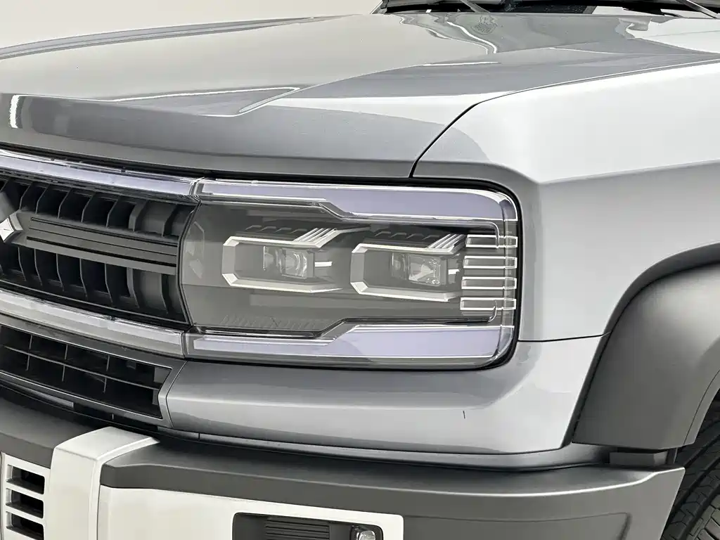 FANG CHENG BAO LEOPARD 5