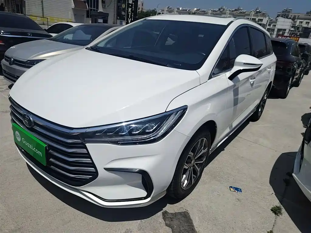 Byd MAX 2021