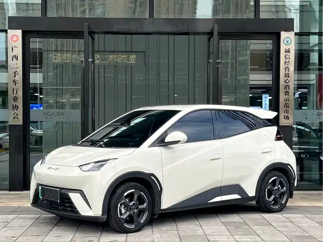 2023 BYD Seagull