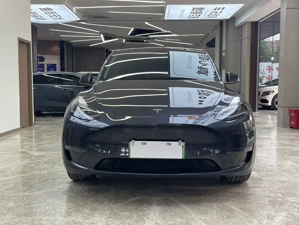 Tesla Model Y — миниатюра 2