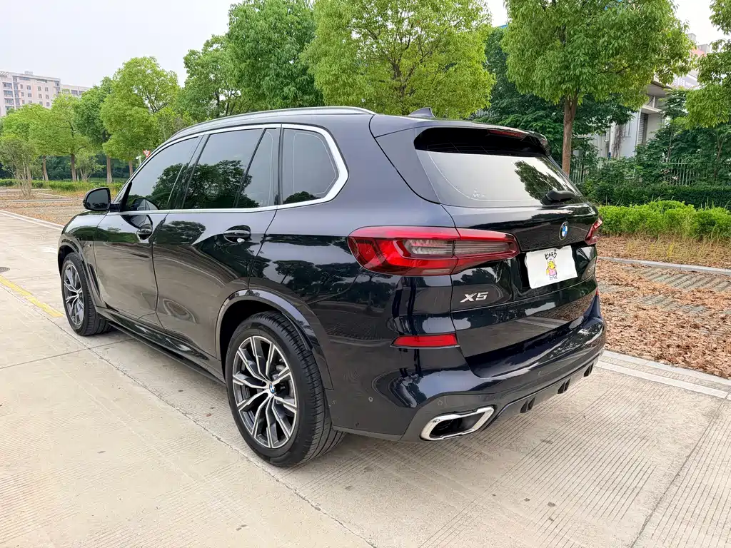 BMW X5 2022 xDrive 30Li M Sport