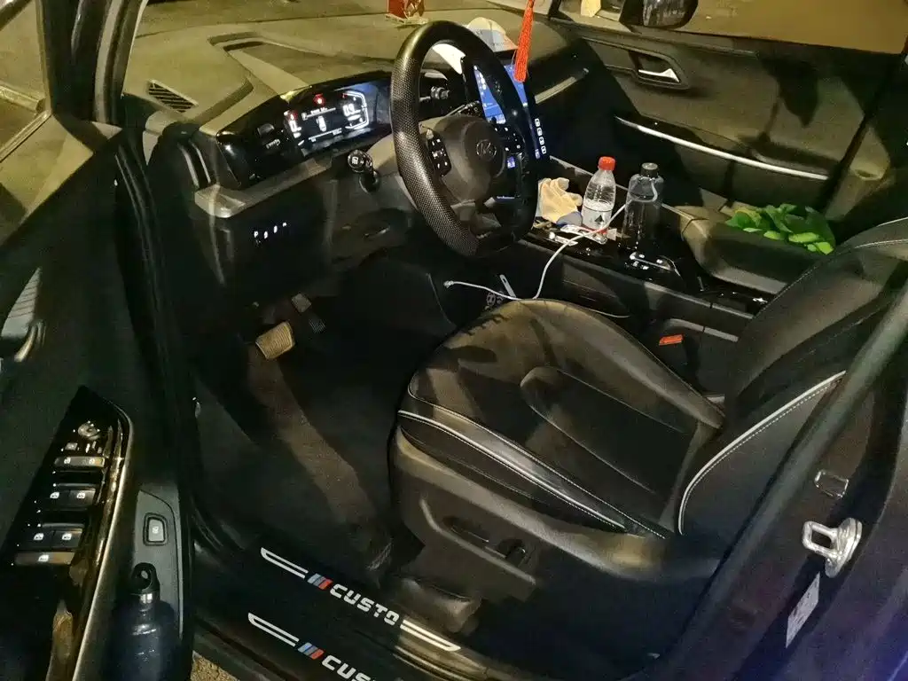 Hyundai Custo — миниатюра 14