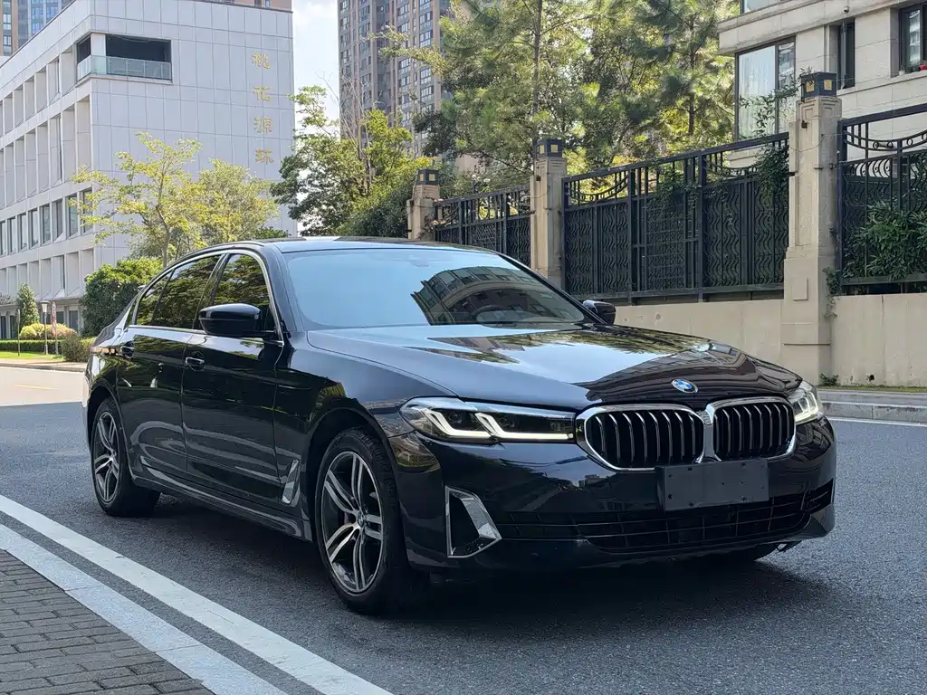 BMW 5 Series — миниатюра 3