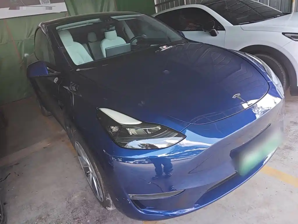 Tesla Model Y — миниатюра 4