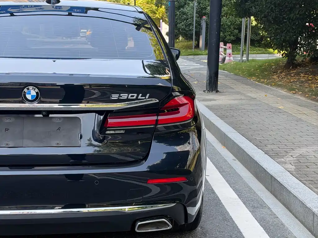 BMW 5 Series — миниатюра 14