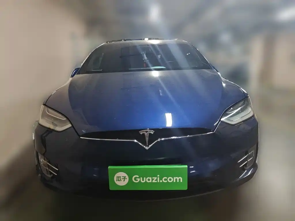 Tesla Model X — миниатюра 24