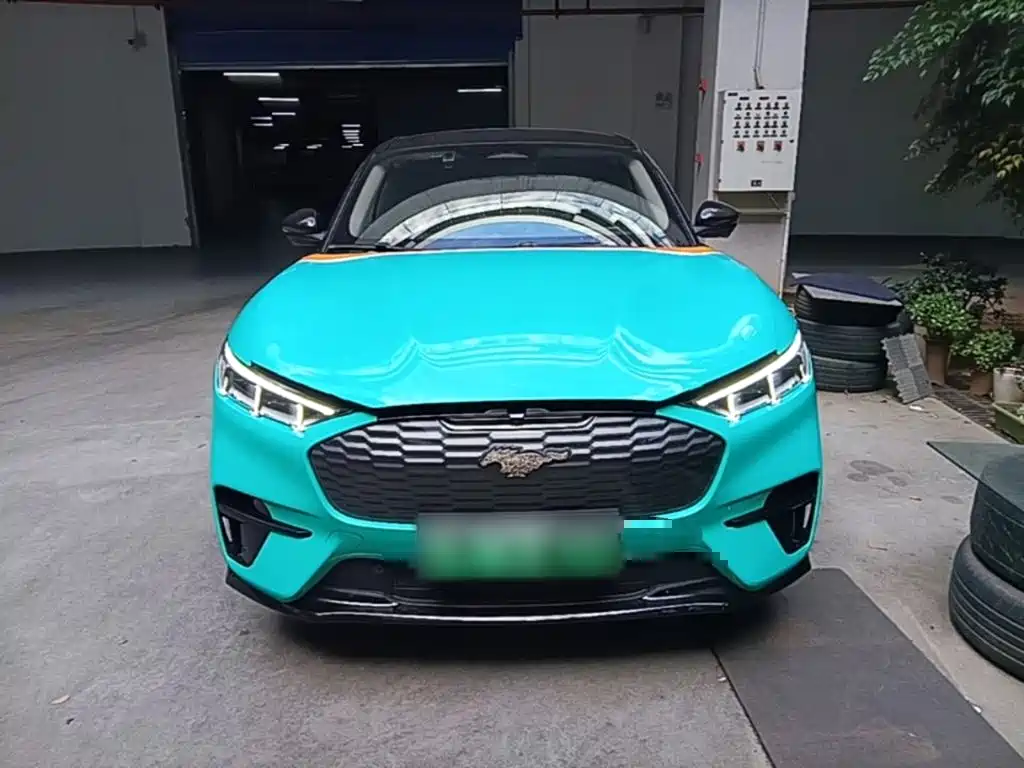 Ford Mustang Mach-E — миниатюра 3