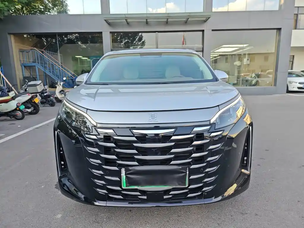 BYD Xia — миниатюра 3