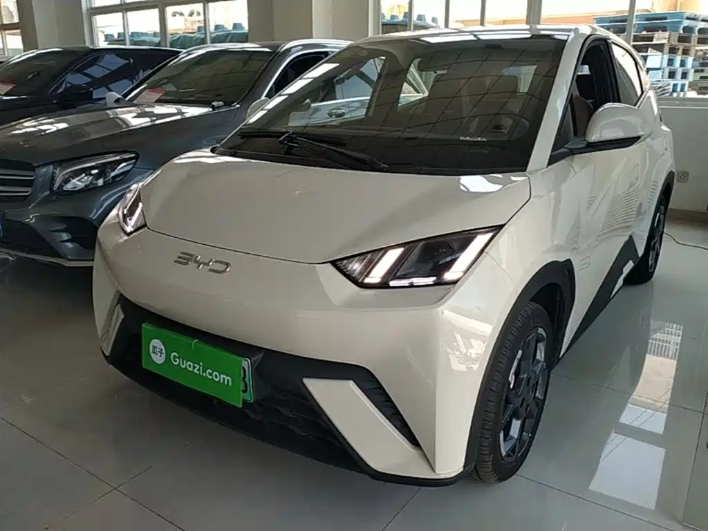 Byd Seagull 2025