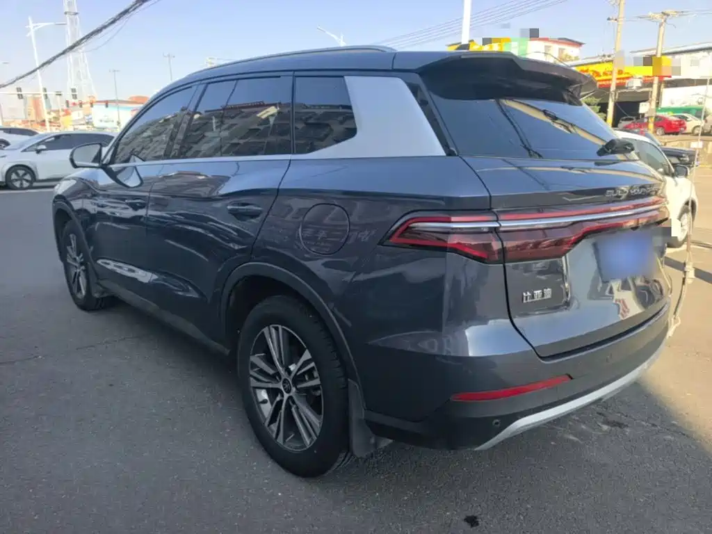 BYD Pro — миниатюра 5