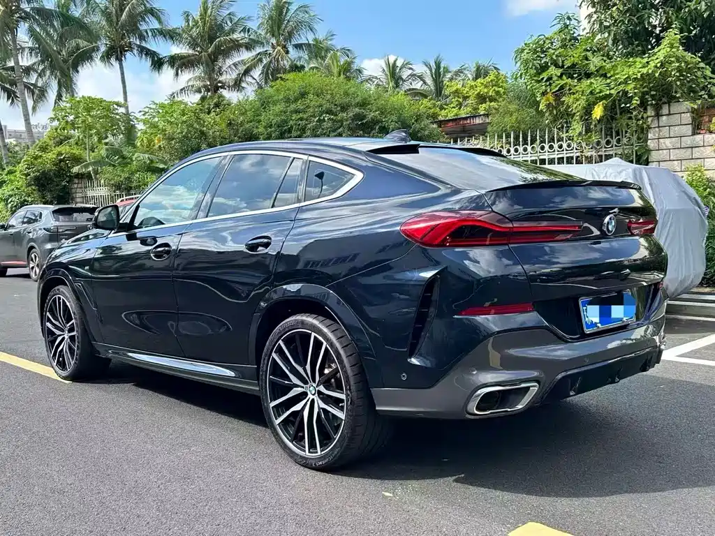 BMW X6 — миниатюра 7