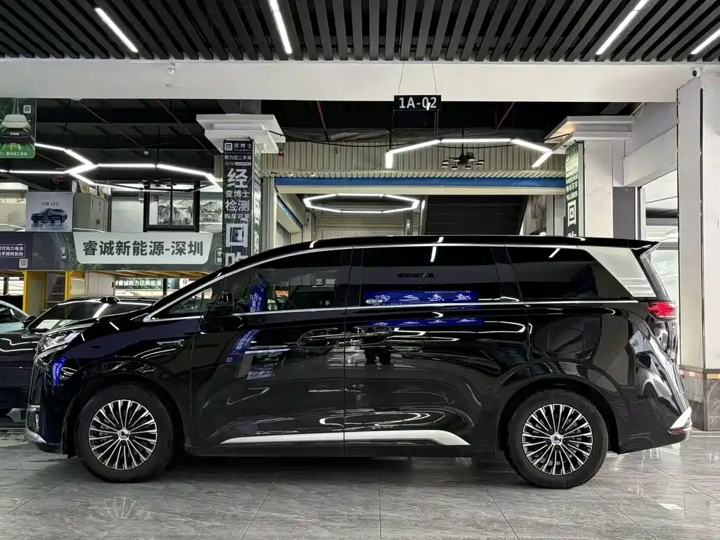 Denza Denza D9 — миниатюра 3