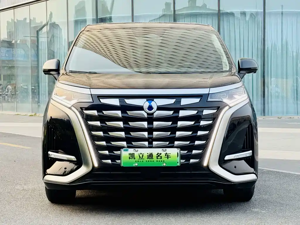 Denza Denza D9 — миниатюра 2