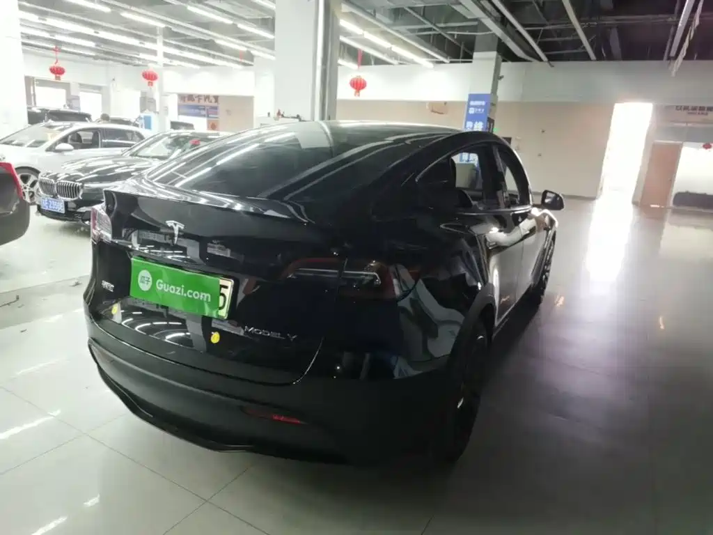 Tesla Model Y — миниатюра 7