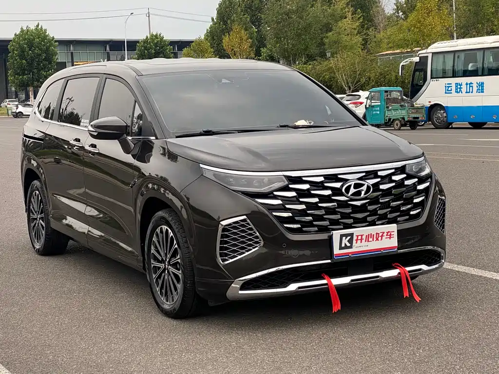 Hyundai Custo — миниатюра 3