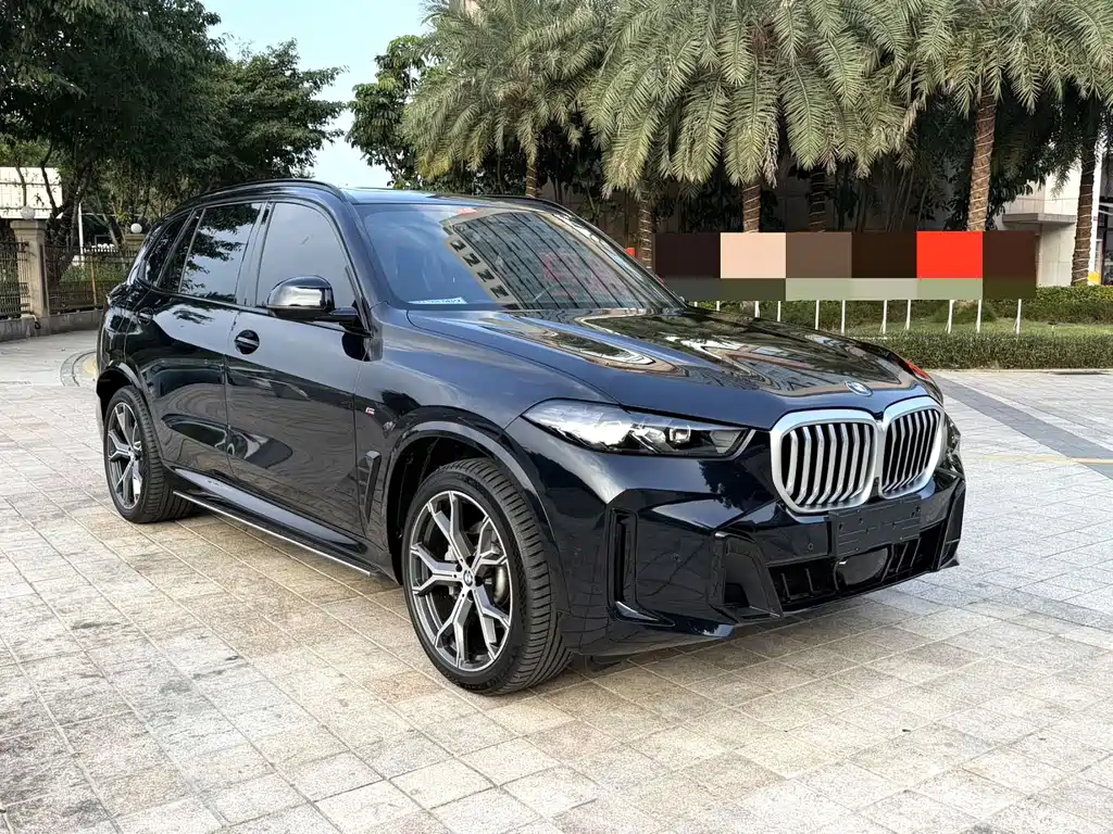 BMW X5 — миниатюра 9