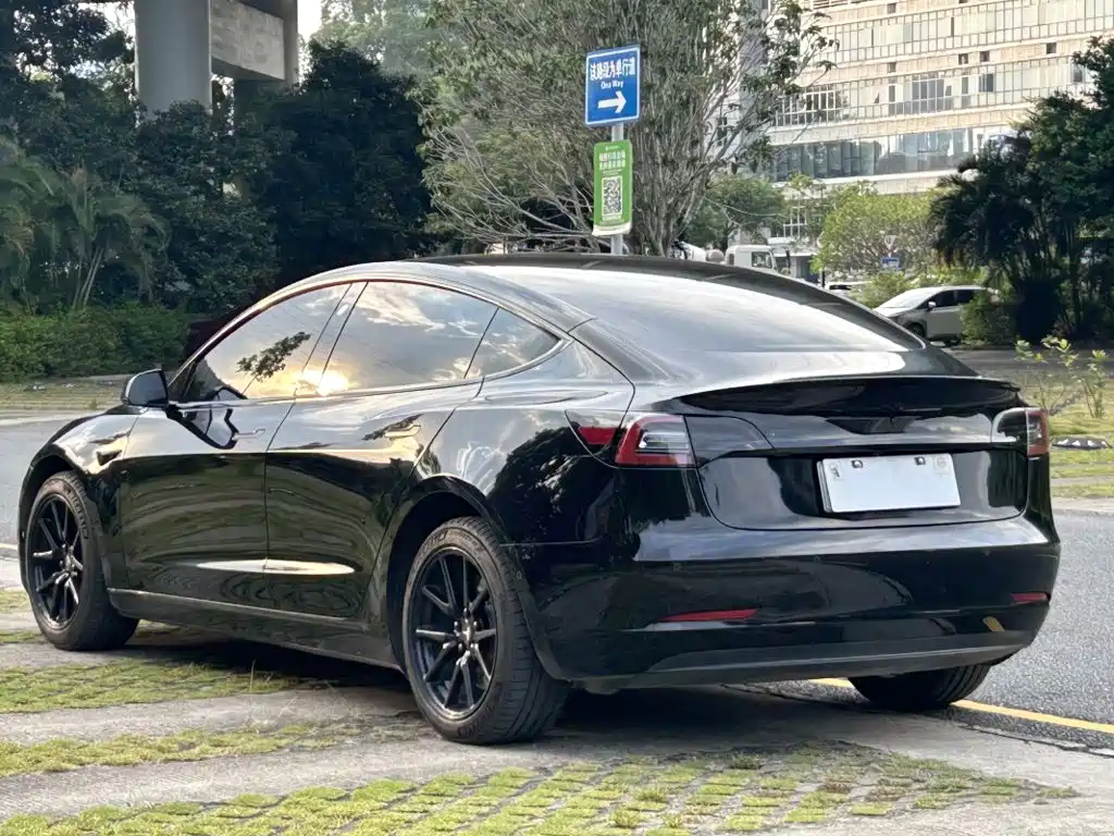 Tesla Model 3 — миниатюра 6