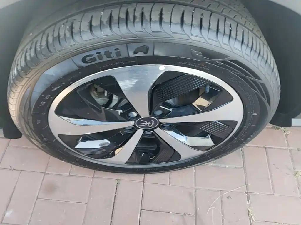 BYD PLUS New Energy — миниатюра 23