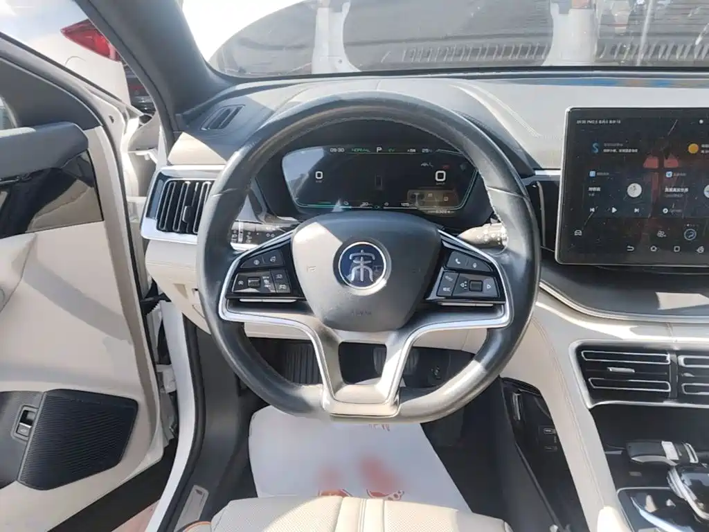 BYD PLUS New Energy — миниатюра 11
