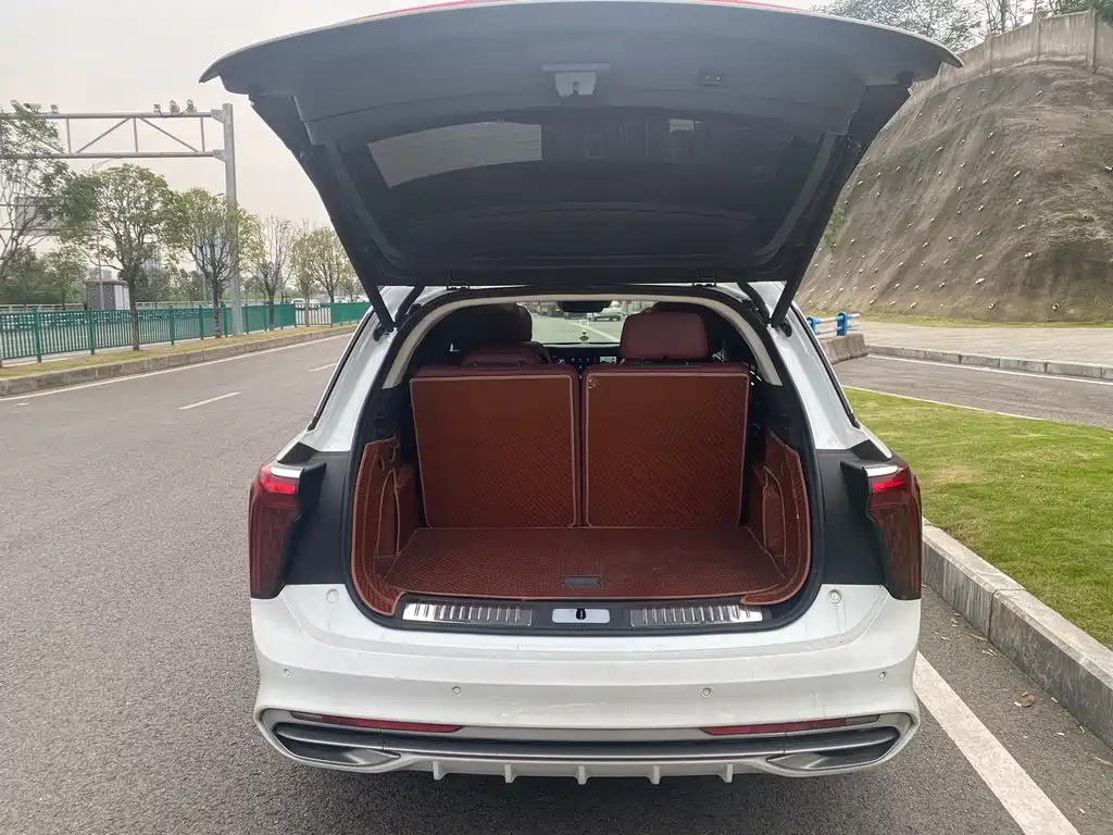 Hongqi Hongqi E-HS9 — миниатюра 9