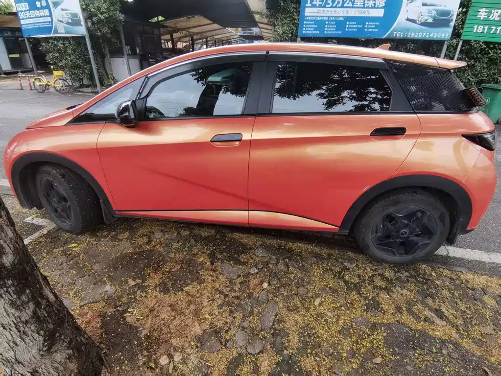 BYD Dolphin — миниатюра 3